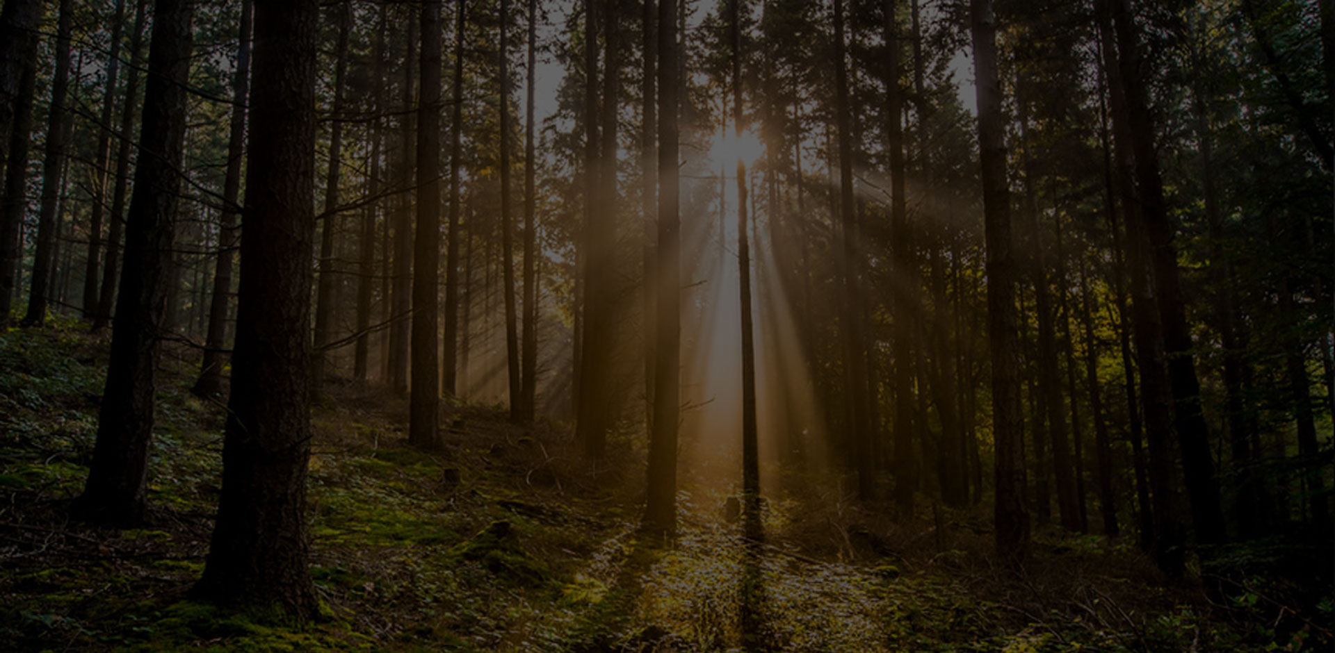 At the Heart of the Community